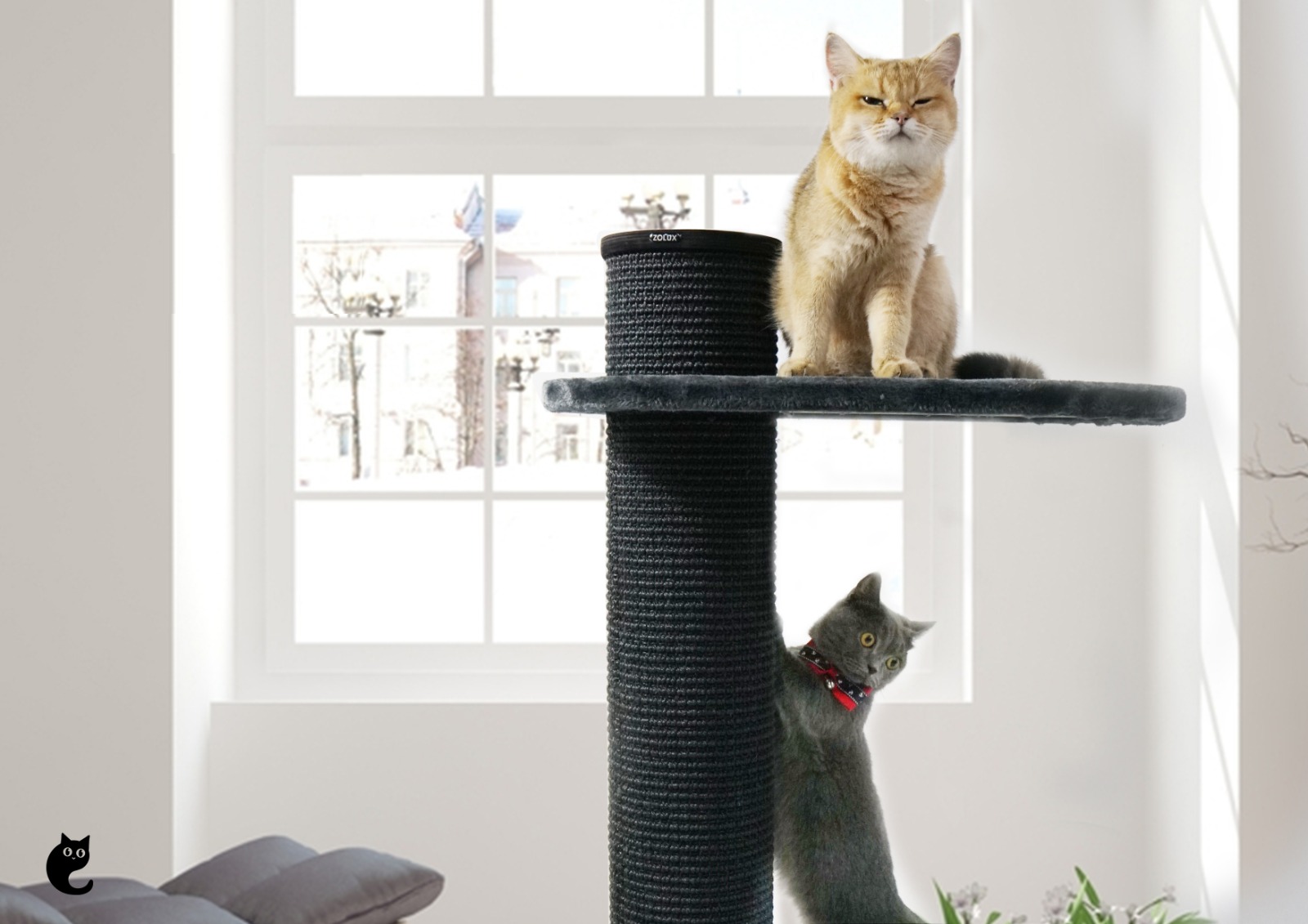 Why are cat trees essential?